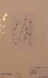  ( - H692032)  @11 [ ] Unspecified (default): All Rights Reserved  Unspecified Unspecified