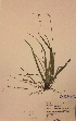  ( - H694703)  @11 [ ] Unspecified (default): All Rights Reserved  Unspecified Unspecified