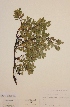  ( - H701715)  @11 [ ] Unspecified (default): All Rights Reserved  Unspecified Unspecified