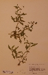  ( - H702357)  @11 [ ] Unspecified (default): All Rights Reserved  Unspecified Unspecified