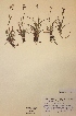  ( - H703000)  @11 [ ] Unspecified (default): All Rights Reserved  Unspecified Unspecified