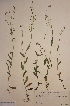  ( - H706502)  @11 [ ] Unspecified (default): All Rights Reserved  Unspecified Unspecified