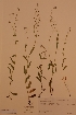  ( - H706503)  @11 [ ] Unspecified (default): All Rights Reserved  Unspecified Unspecified