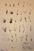  ( - H709884)  @11 [ ] Unspecified (default): All Rights Reserved  Unspecified Unspecified