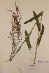  ( - H719280)  @11 [ ] Unspecified (default): All Rights Reserved  Unspecified Unspecified