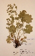  ( - H719994)  @11 [ ] Unspecified (default): All Rights Reserved  Unspecified Unspecified