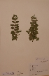 ( - H724724)  @11 [ ] Unspecified (default): All Rights Reserved  Unspecified Unspecified