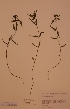  ( - H731528)  @11 [ ] Unspecified (default): All Rights Reserved  Unspecified Unspecified