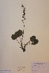 ( - H732408)  @11 [ ] Unspecified (default): All Rights Reserved  Unspecified Unspecified