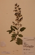  ( - H732520)  @11 [ ] Unspecified (default): All Rights Reserved  Unspecified Unspecified