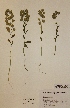  ( - H733941)  @11 [ ] Unspecified (default): All Rights Reserved  Unspecified Unspecified