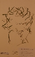  ( - H734130)  @11 [ ] Unspecified (default): All Rights Reserved  Unspecified Unspecified