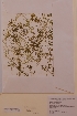  ( - H737499)  @11 [ ] Unspecified (default): All Rights Reserved  Unspecified Unspecified