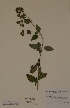  ( - H738038)  @11 [ ] Unspecified (default): All Rights Reserved  Unspecified Unspecified