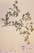 ( - H738641)  @11 [ ] Unspecified (default): All Rights Reserved  Unspecified Unspecified