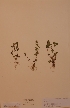  ( - H740805)  @11 [ ] Unspecified (default): All Rights Reserved  Unspecified Unspecified