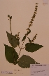  ( - H741121)  @11 [ ] Unspecified (default): All Rights Reserved  Unspecified Unspecified