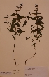  ( - H741940)  @11 [ ] Unspecified (default): All Rights Reserved  Unspecified Unspecified