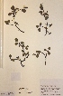  ( - H742536)  @11 [ ] Unspecified (default): All Rights Reserved  Unspecified Unspecified