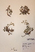  ( - H742584)  @11 [ ] Unspecified (default): All Rights Reserved  Unspecified Unspecified