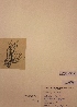  ( - H745646)  @11 [ ] Unspecified (default): All Rights Reserved  Unspecified Unspecified