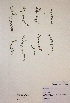  ( - H746073)  @11 [ ] Unspecified (default): All Rights Reserved  Unspecified Unspecified
