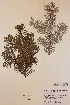  ( - H746094)  @11 [ ] Unspecified (default): All Rights Reserved  Unspecified Unspecified