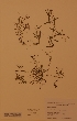  ( - H747937)  @11 [ ] Unspecified (default): All Rights Reserved  Unspecified Unspecified