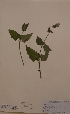 ( - H748233)  @11 [ ] Unspecified (default): All Rights Reserved  Unspecified Unspecified