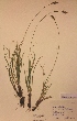  ( - H750945)  @11 [ ] Unspecified (default): All Rights Reserved  Unspecified Unspecified