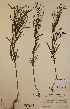  ( - H788491)  @11 [ ] Unspecified (default): All Rights Reserved  Unspecified Unspecified