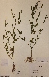  ( - H805809)  @11 [ ] Unspecified (default): All Rights Reserved  Unspecified Unspecified