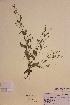 ( - H807121)  @11 [ ] Unspecified (default): All Rights Reserved  Unspecified Unspecified