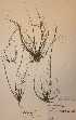  ( - H807557)  @11 [ ] Unspecified (default): All Rights Reserved  Unspecified Unspecified