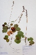  ( - H809889)  @11 [ ] Unspecified (default): All Rights Reserved  Unspecified Unspecified