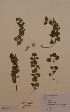  ( - H810590)  @11 [ ] Unspecified (default): All Rights Reserved  Unspecified Unspecified