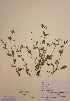  ( - H810616)  @11 [ ] Unspecified (default): All Rights Reserved  Unspecified Unspecified