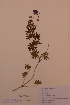  ( - H810624)  @11 [ ] Unspecified (default): All Rights Reserved  Unspecified Unspecified