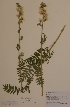  ( - H810767)  @11 [ ] Unspecified (default): All Rights Reserved  Unspecified Unspecified