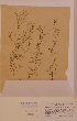  ( - H811969)  @11 [ ] Unspecified (default): All Rights Reserved  Unspecified Unspecified