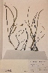  ( - H812107)  @11 [ ] Unspecified (default): All Rights Reserved  Unspecified Unspecified
