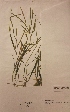  ( - H812238)  @11 [ ] Unspecified (default): All Rights Reserved  Unspecified Unspecified
