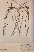  ( - H812583)  @11 [ ] Unspecified (default): All Rights Reserved  Unspecified Unspecified