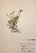  ( - H818975)  @11 [ ] Unspecified (default): All Rights Reserved  Unspecified Unspecified