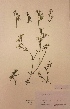  ( - H819124)  @11 [ ] Unspecified (default): All Rights Reserved  Unspecified Unspecified