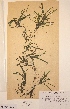  ( - H821832)  @11 [ ] Unspecified (default): All Rights Reserved  Unspecified Unspecified