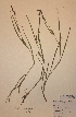  ( - H822562)  @11 [ ] Unspecified (default): All Rights Reserved  Unspecified Unspecified