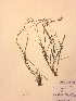  ( - H822564)  @11 [ ] Unspecified (default): All Rights Reserved  Unspecified Unspecified
