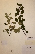  ( - H825183)  @11 [ ] Unspecified (default): All Rights Reserved  Unspecified Unspecified