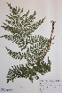  ( - H825231)  @11 [ ] Unspecified (default): All Rights Reserved  Unspecified Unspecified